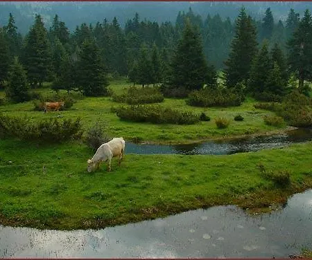 Xenonas Agnanti Casa de hóspedes