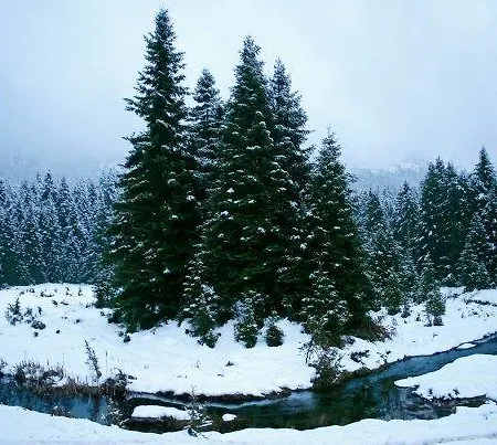 Casa de hóspedes Xenonas Agnanti *